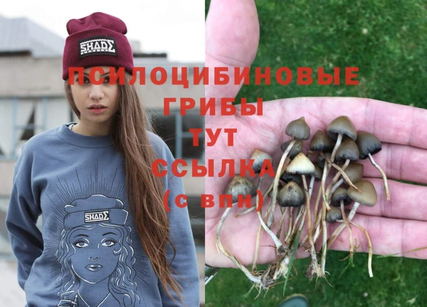 экстази Абинск